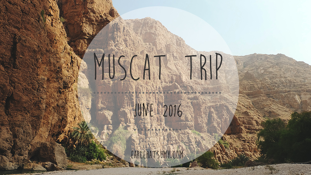 Salalah to Muscat trip